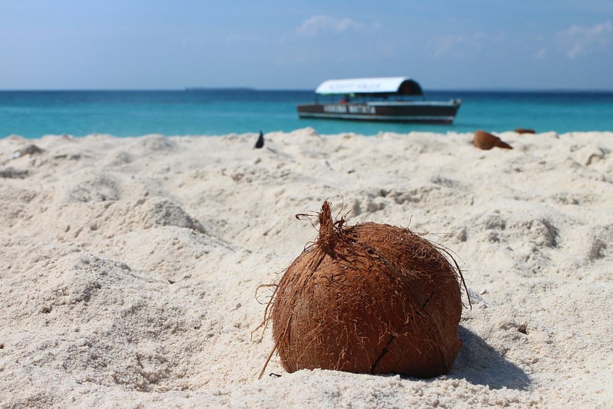 Bitcoin als betaalmiddel in Zanzibar? Regering doet onderzoek naar regulering