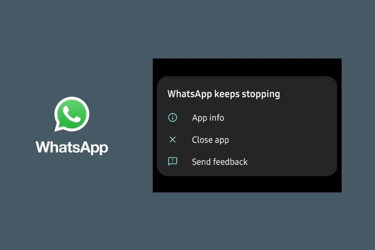 WhatsApp blijft crashen, wat kun je doen?