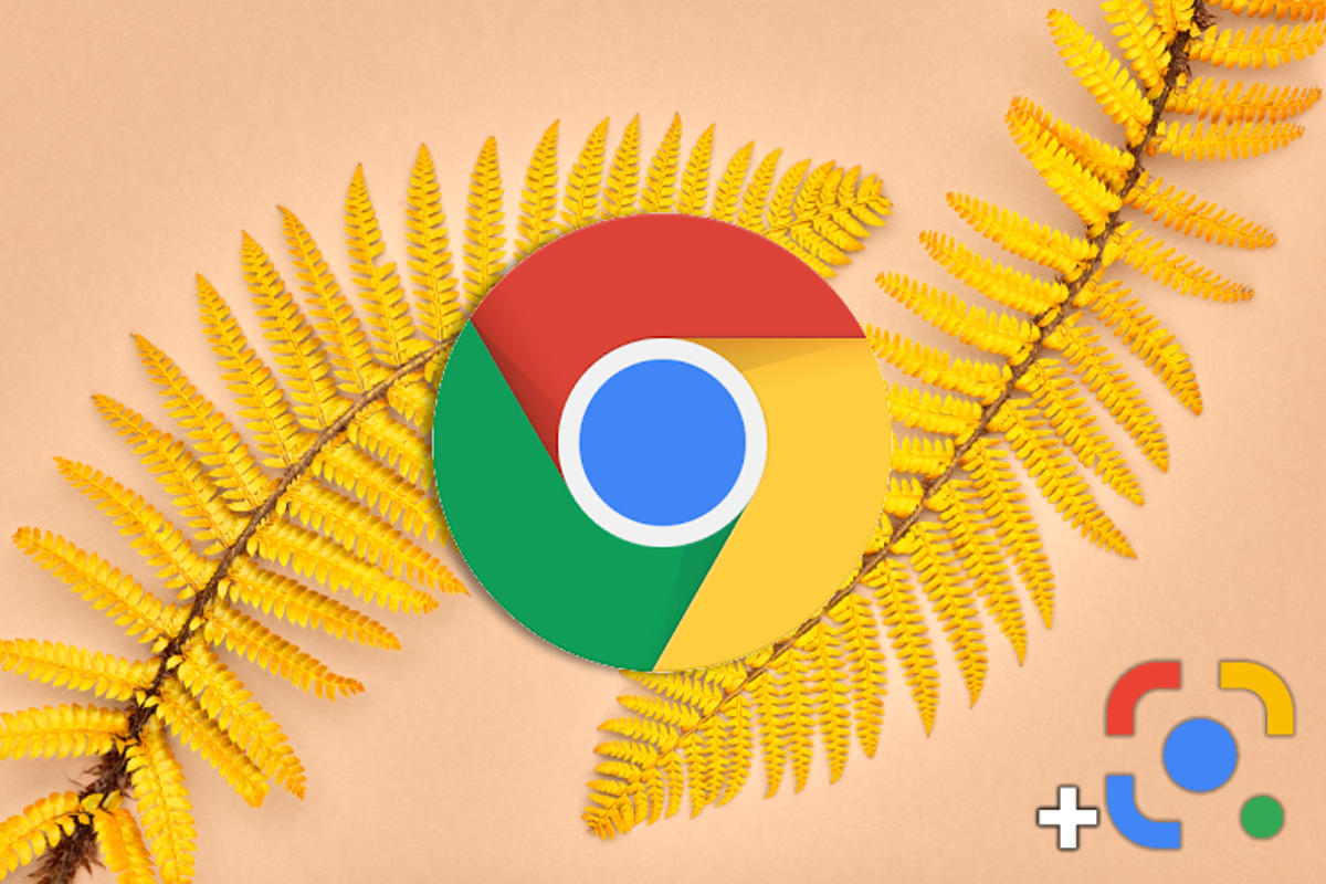 Chrome: Lens now replaces this Google Images feature