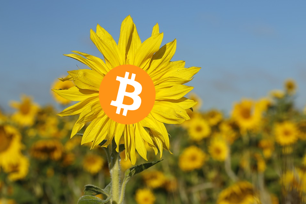 Prijs van bitcoin staat rond dezelfde prijs als 1 jaar geleden
