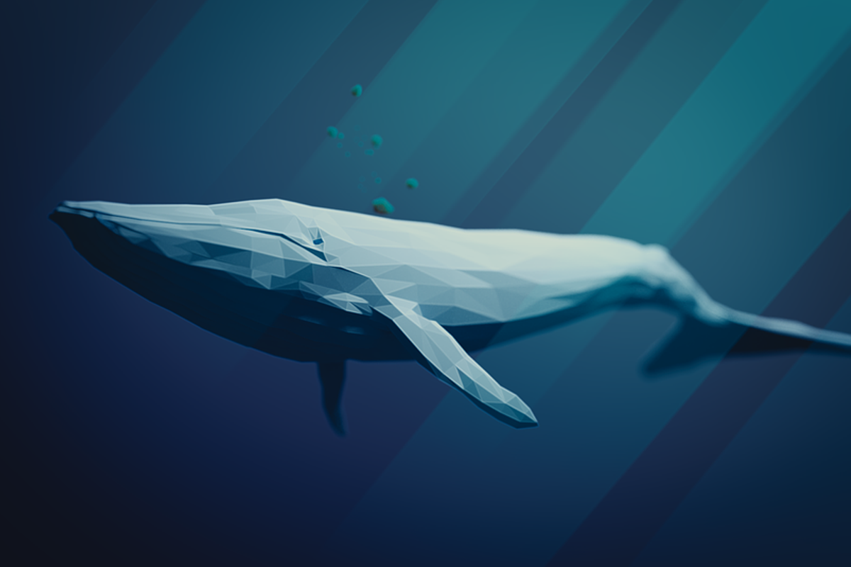 Mysterieuze bitcoin whale koopt in 7 dagen voor $71 miljoen aan bitcoin