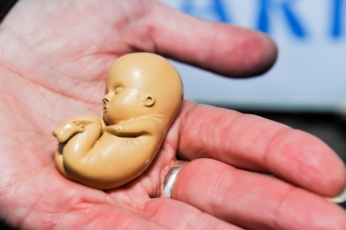 GroenLinks dolblij dat ongeboren baby's tot 24 weken gedood kunnen worden in Colombia: 'Vrouwenrechten!'