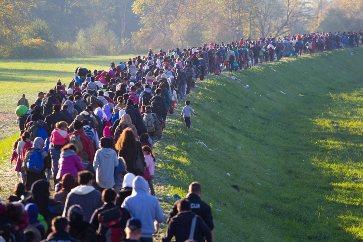 Column Ozair Hamid – Het immigratiebeleid moet op de schop om de crisis te bedwingen