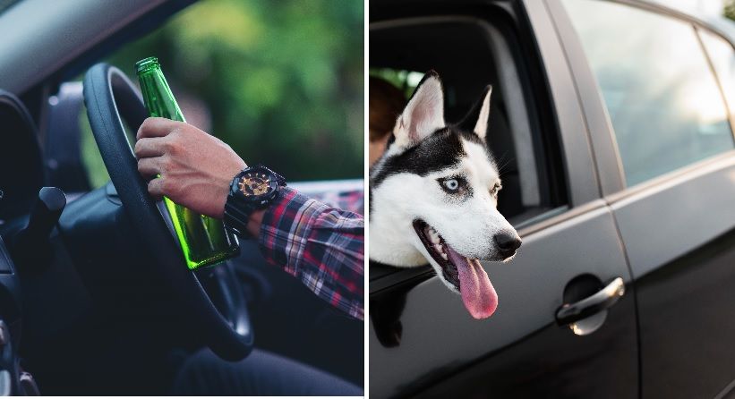 Dronken chauffeur wisselt snel van plaats met zijn hond om boete te vermijden