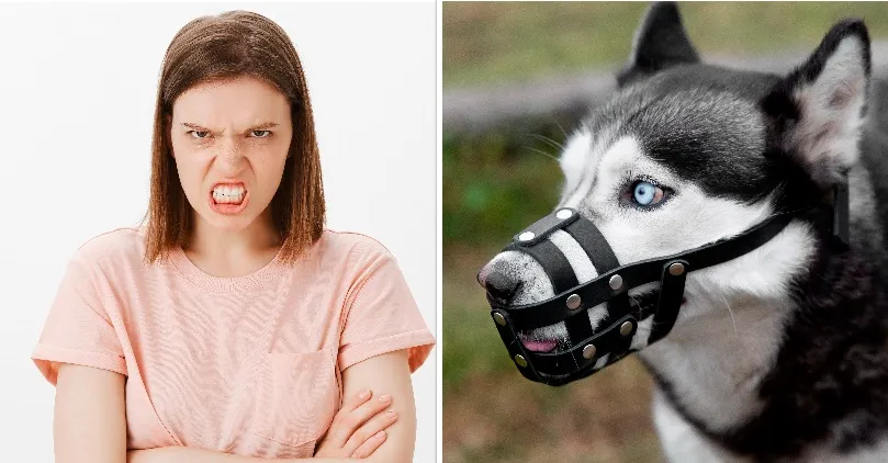 "Ik ben razend! Mijn buurman legde een muilband voor m'n deur en die was zeker niet voor de hond"