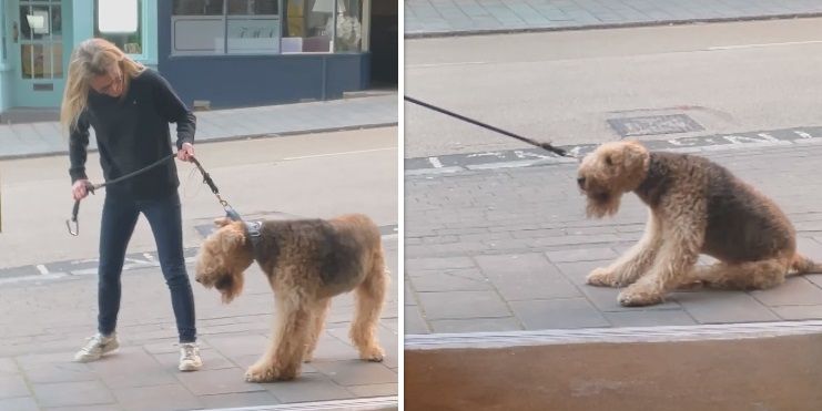 Betrapt! Vrouw gaat wandelen met hond en die weigert dienst voor stamkroeg van haar echtgenoot