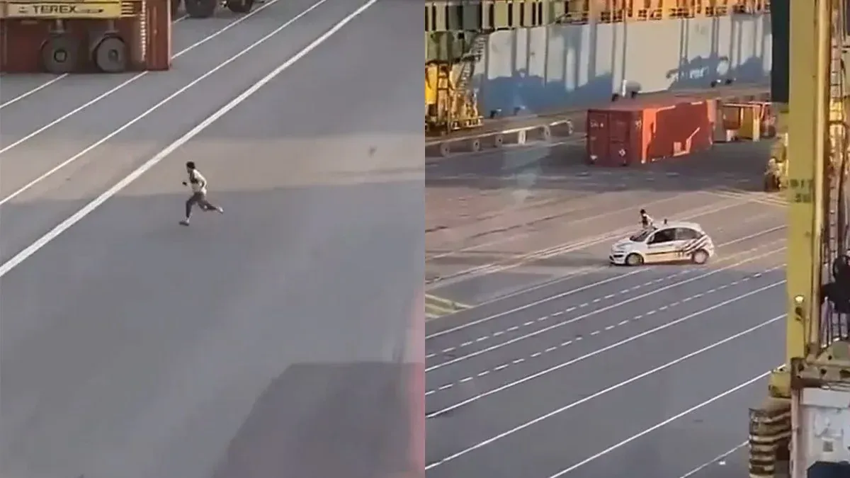 Oud maar goud - Kraanman in Antwerpse haven is getuige van stevige portie actie onder hem