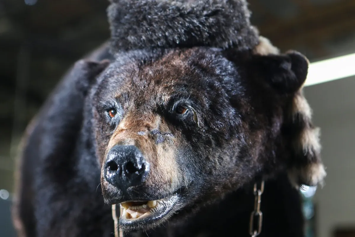 01xp cocainebear videosixteenbyninejumbo1600