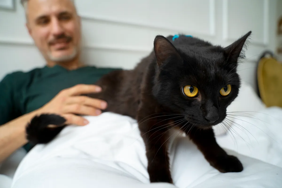 Oud maar goud - "Ik mag niet met mezelf spelen van mijn lief. En de schuldige is... een poes!"