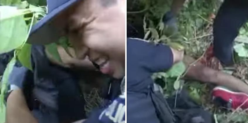 'Pijnlijke' arrestatie: politieagent en verdachte komen terecht in een nest chagrijnige wespen!