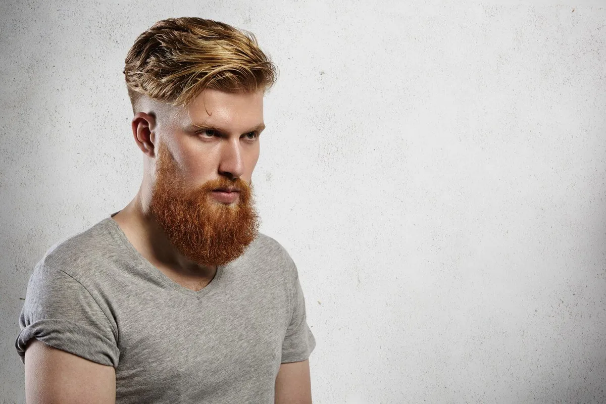 portrait courageous fashionable male model with long trendy beard undercut hairstyle caucasian blond man grey t shirt looking sullenly ahead him indoors shot white 273609 5863