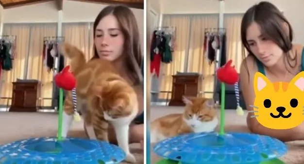 schermopname 11 4 2024 134754 wwwcollagenl