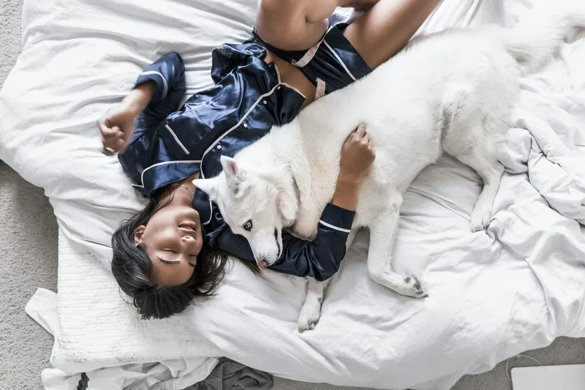 Onderzoek toont aan: vrouwen slapen liever naast hun hond dan naast hun man