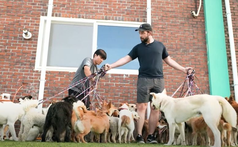 Canadees vestigt bijzonder wereldrecord. Dit is hoeveel honden hij tegelijkertijd uitliet...