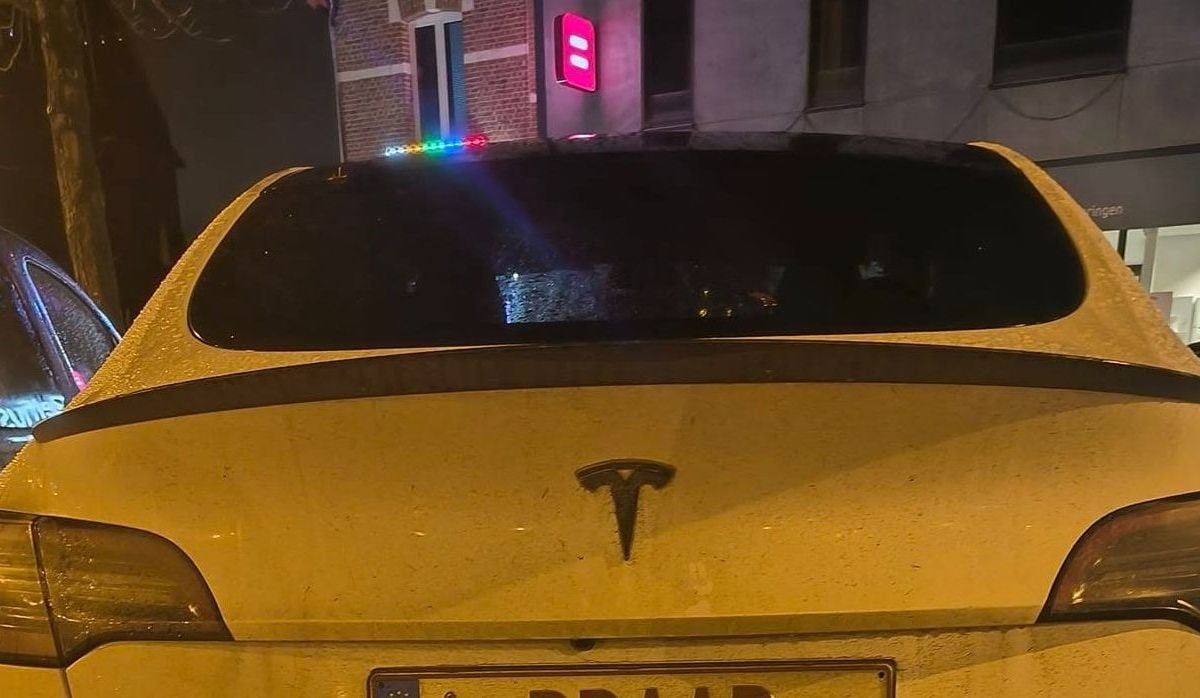 Vlaming met Tesla roept vragen op met zijn gepersonaliseerde nummerplaat: "Kan die wel opladen?"