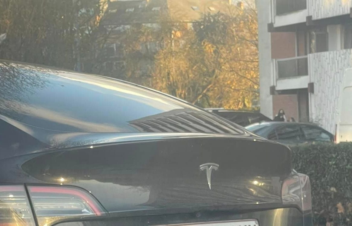 Wat is de betekenis achter de nummerplaat op de Tesla van deze Vlaming: "Is hij misschien vrijgezel?"