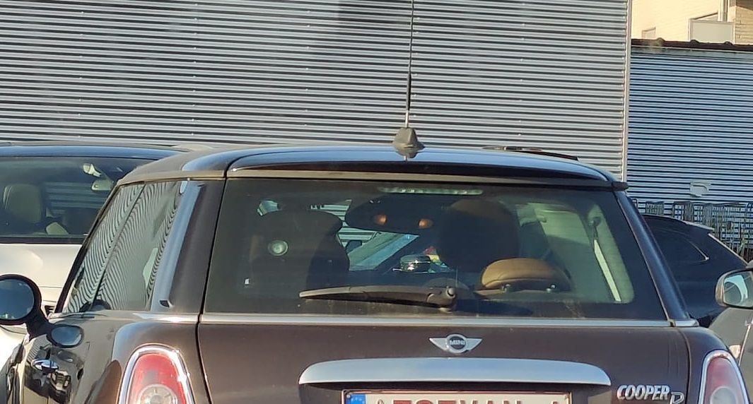 Wat is de betekenis achter de nummerplaat op de Mini Cooper van deze Vlaming? "Van zijn vrouw of...?"