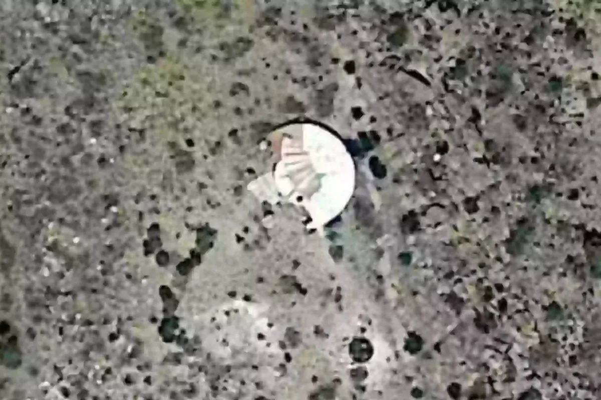 resize 20jpg