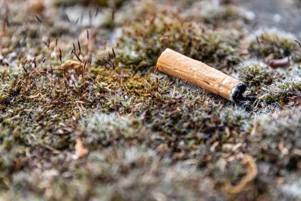 closeup shot used cigarette thrown grass ground 181624 28312