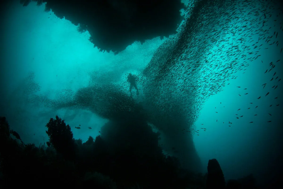 alex rose ccwjhxuem7c unsplash