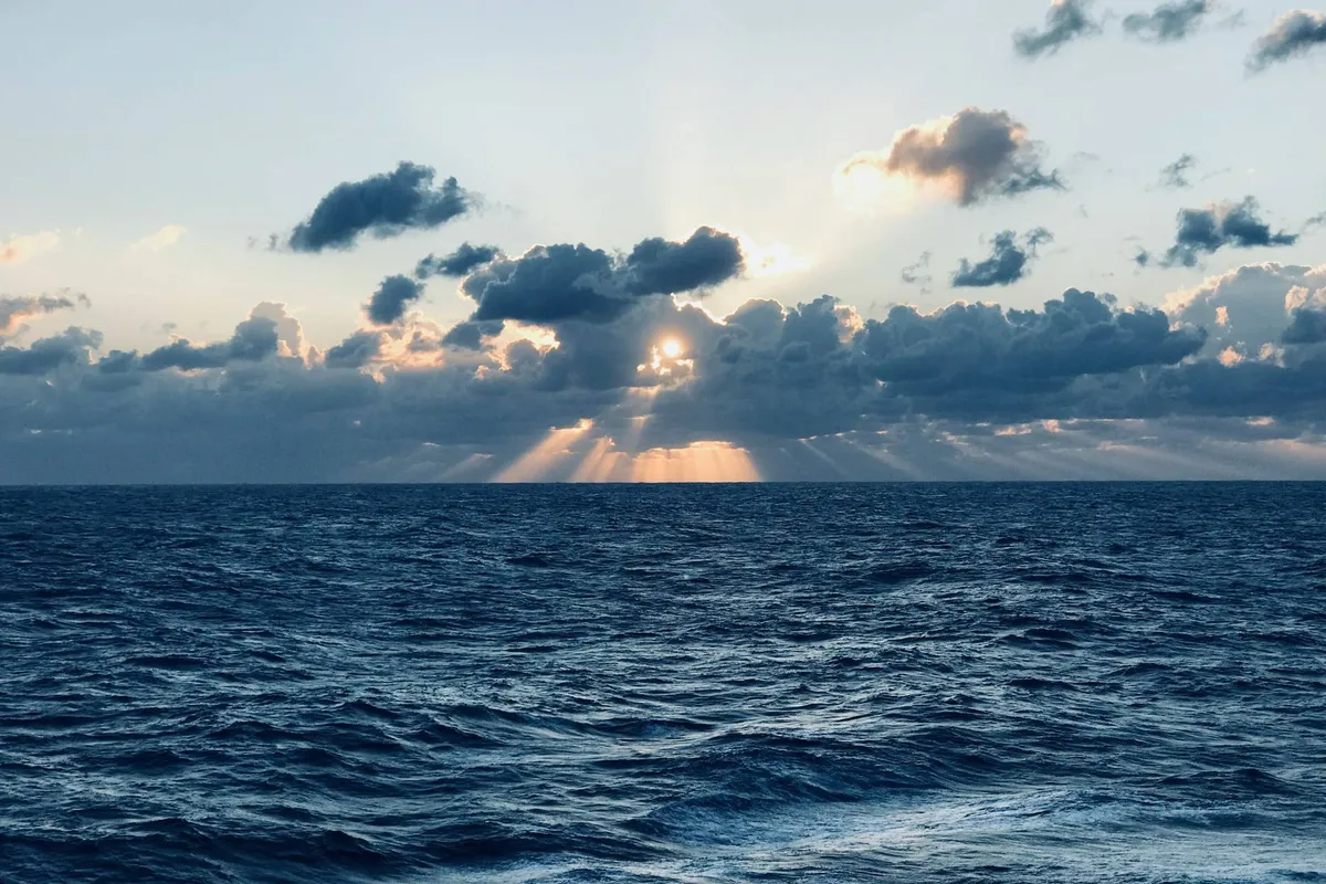 dimitris panagiotaras xjwwp fpdjs unsplash