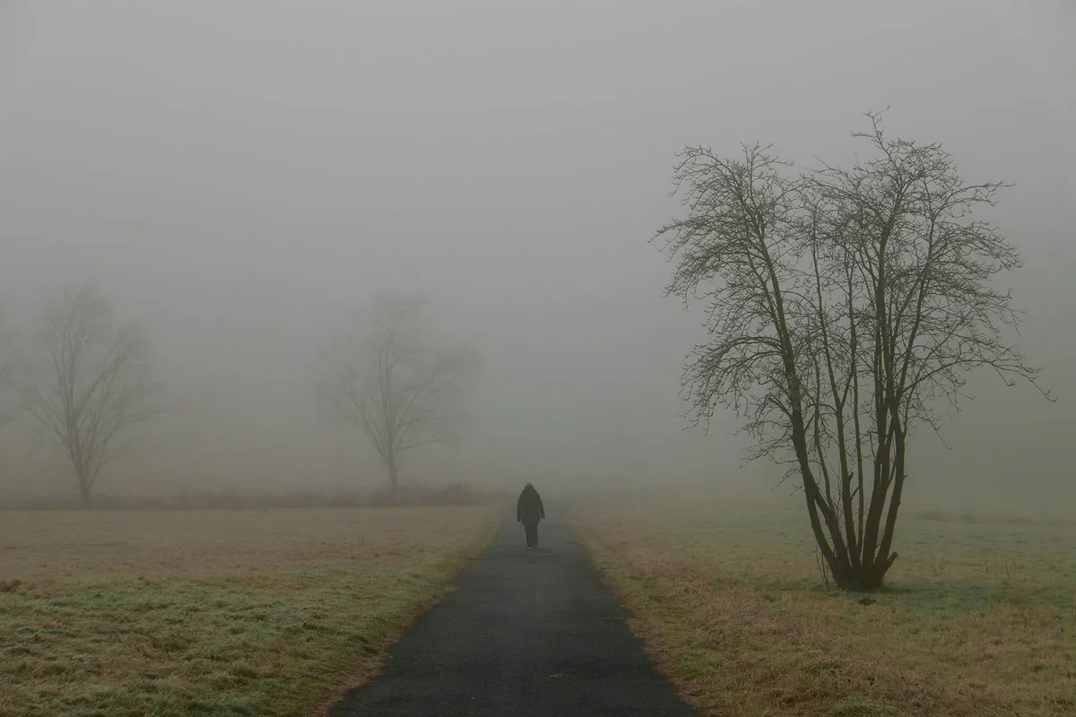 immo-wegmann-HDbG2l5sz3M-unsplash