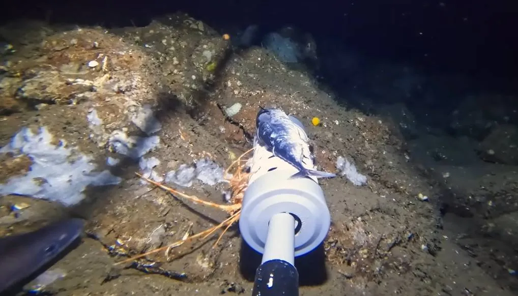 Schermopname_25-11-2025_101652_www.youtube.com