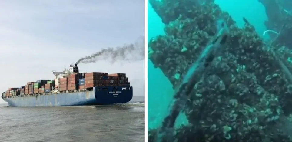 Schermopname_29-11-2025_101049_www.collage.nl