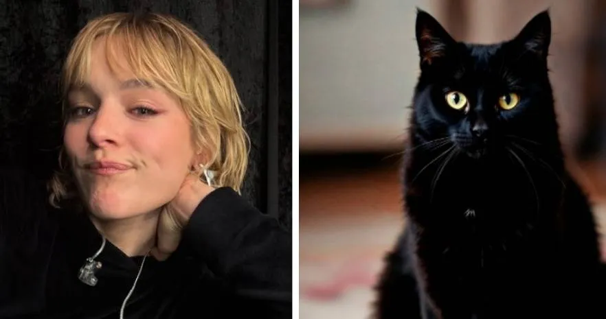 Schermopname_17-1-2026_17249_www.collage.nl