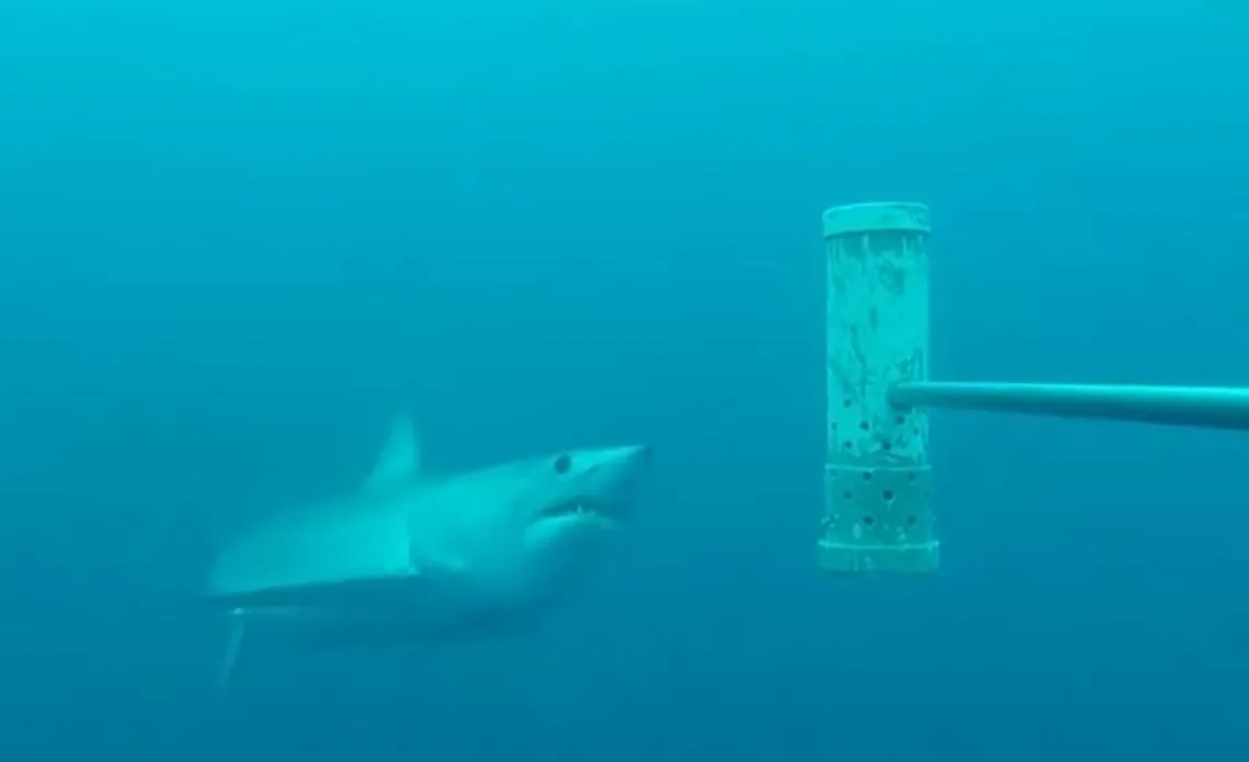 Schermopname_21-1-2026_165352_www.youtube.com