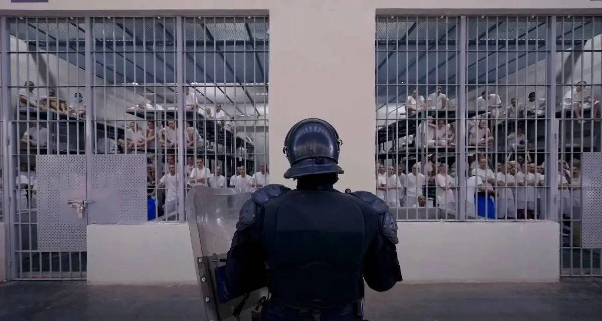 schermopname-12-2-2025-144751-wwwyoutubecom-67aca798c3f7a