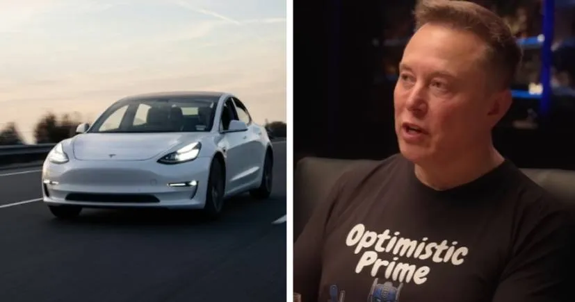 Schermopname_24-2-2026_95659_www.collage.nl