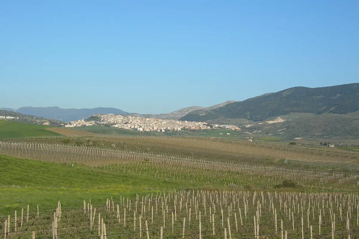italie-sambuca
