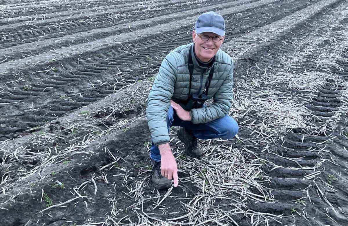 Eerste kievitsei in Drenthe is gevonden