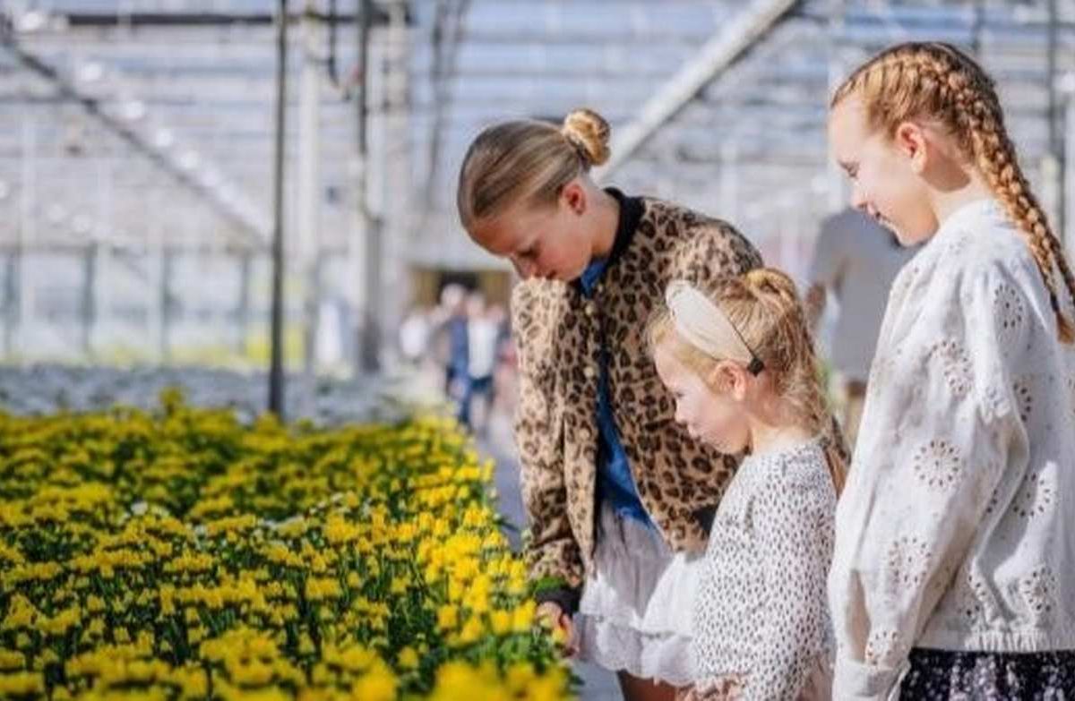 Deze zeven kwekers in regio Emmen openen hun deuren tijdens Kom in de Kas