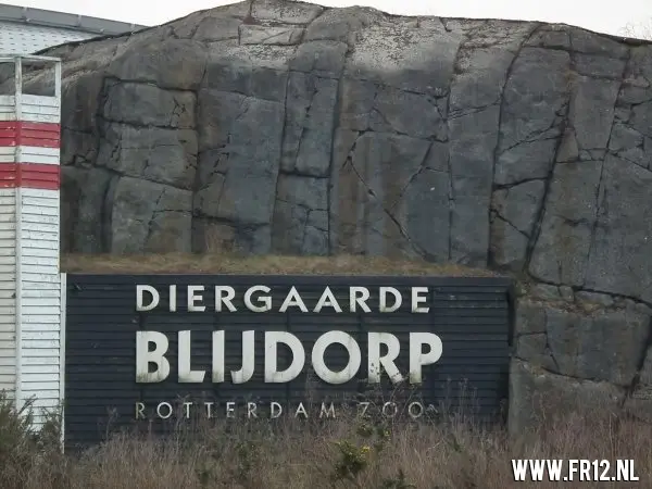 Olli verkoop verslag