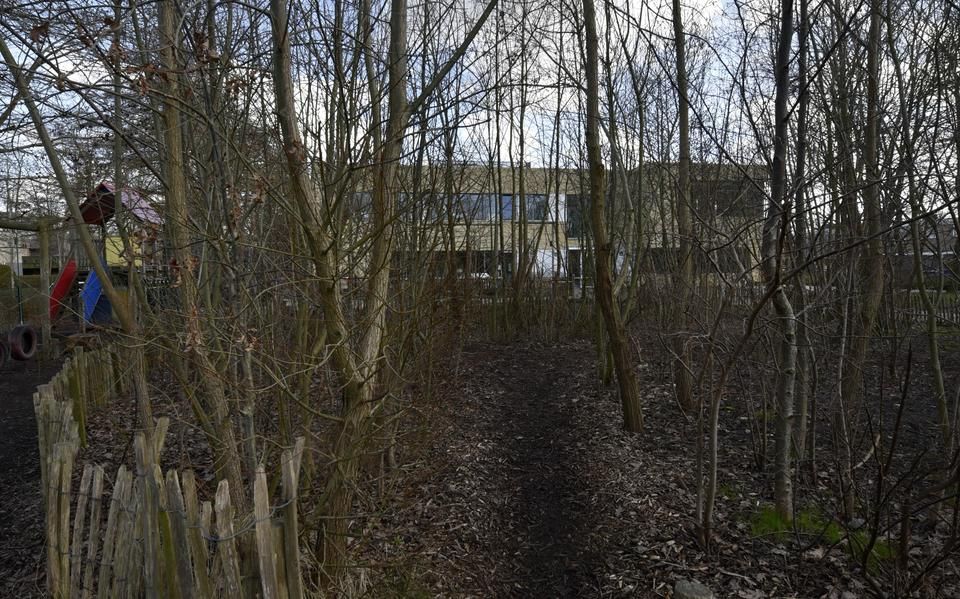 Met een worm in de hand naar de juf: ook zonder bomen kan een schoolplein groen zijn