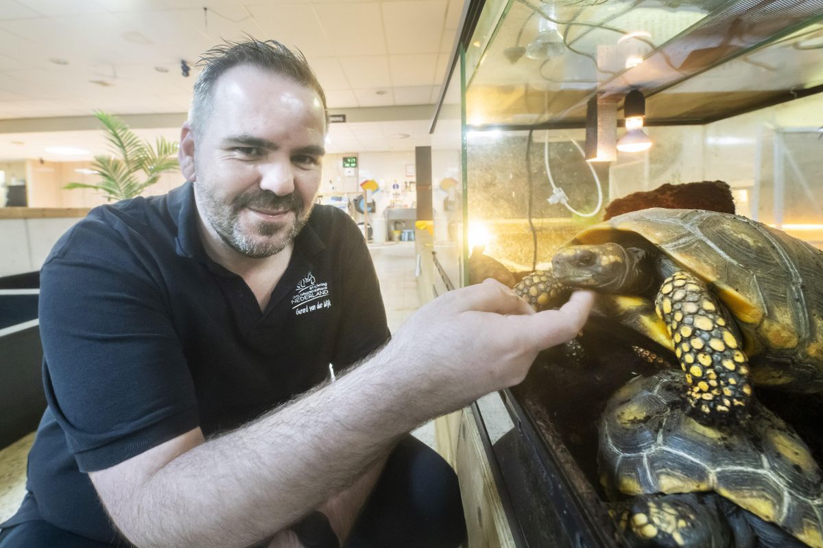 Schildpaddenopvang Harkema zoekt vóór vrijdag 2 miljoen euro: ‘Natuerlik ûnhelber’