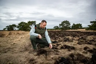 De heide is bewust in brand gezet; strategisch stoken tegen het oprukkende pijpenstrootje