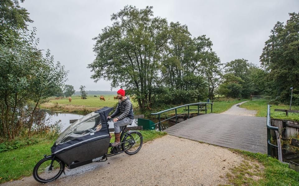 Provincie Fryslân wil toch weer boerengrond kunnen onteigenen voor halen natuurdoelen