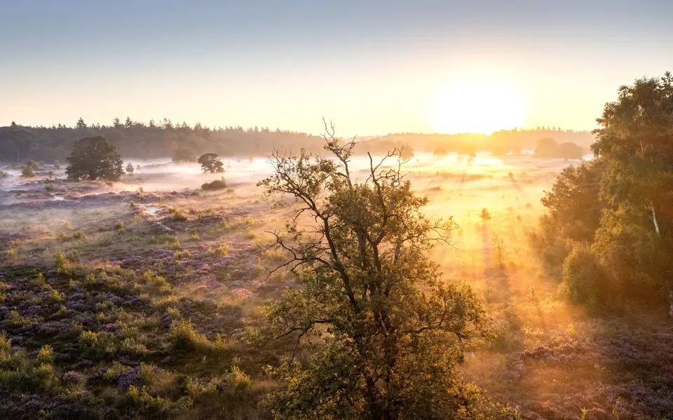Ecologische Autoriteit: Friese natuur bevindt zich in slechte staat. ‘We zijn er volop mee bezig’