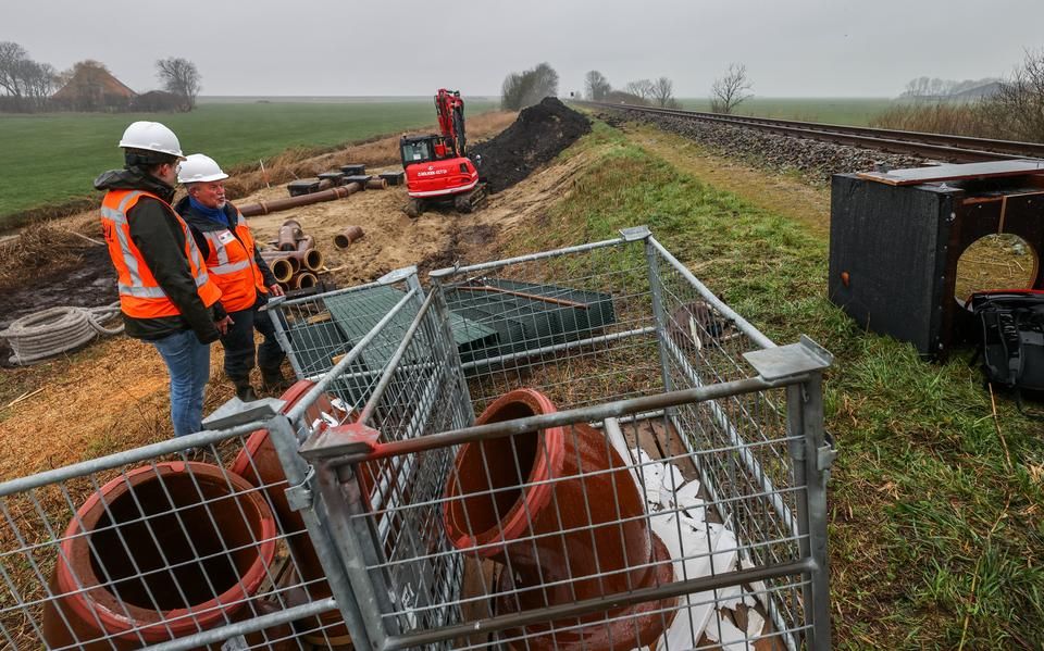 ProRail: op 500 plekken langs het spoor zijn dassen actief