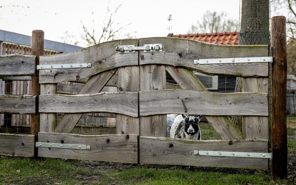 Cliënten van zorgorganisatie Trajectum in Boschoord leven met moestuin en trapveldje. Maar hoelang nog?