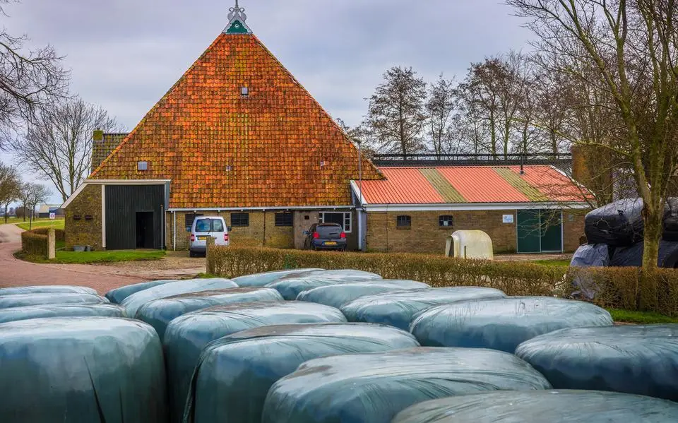 BZV-boer Julius uit Arkum wil het vuurtje opstoken. ‘Ik dacht: ik probeer ‘es wat...’