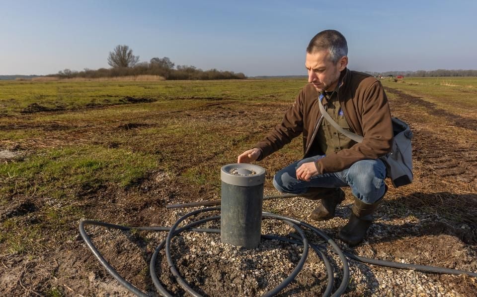 Zorgen over natuurgebied Haulerpolder. Maar misschien is een witte buis de oplossing