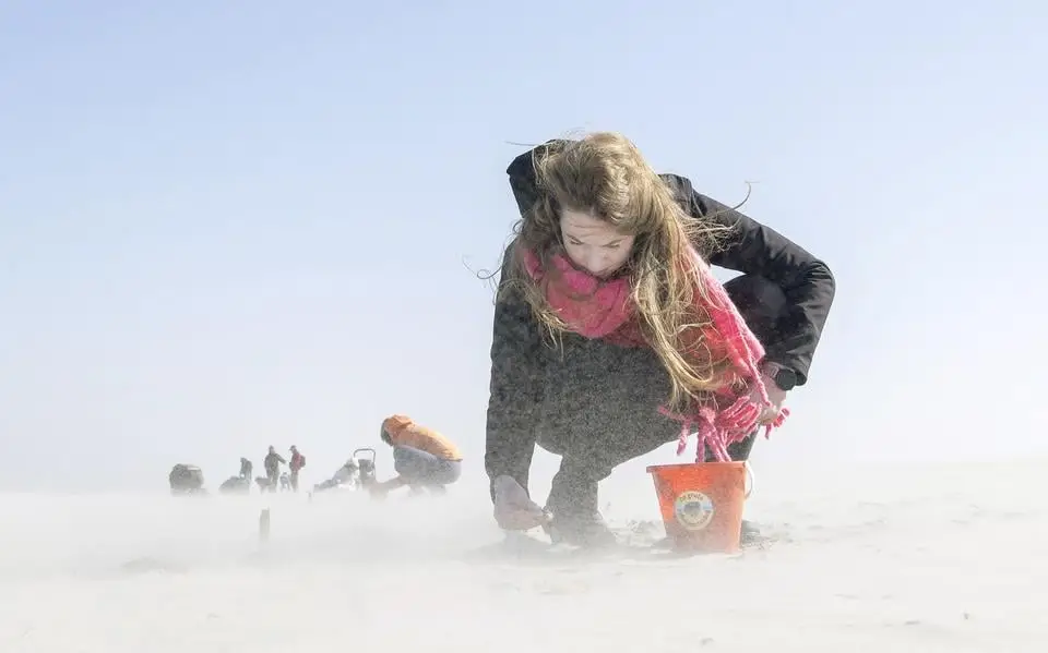 Op Schiermonnikoog schelpen tellen voor de wetenschap: ‘Het voelt een beetje als schatzoeken...’