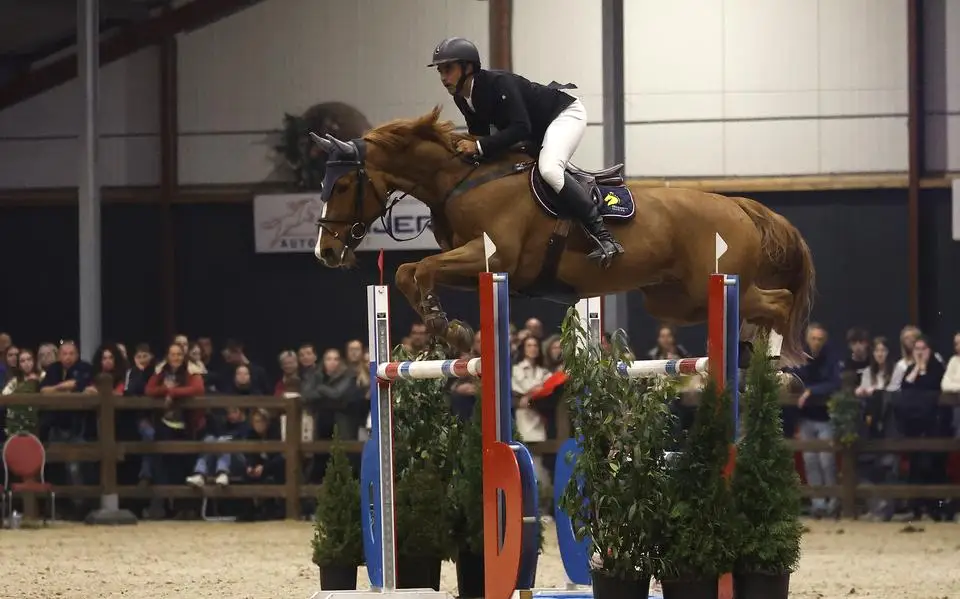 Ernesto Canseco uit Boijl is blij met excellent springende Six Gold tijdens Jumping Tolbert