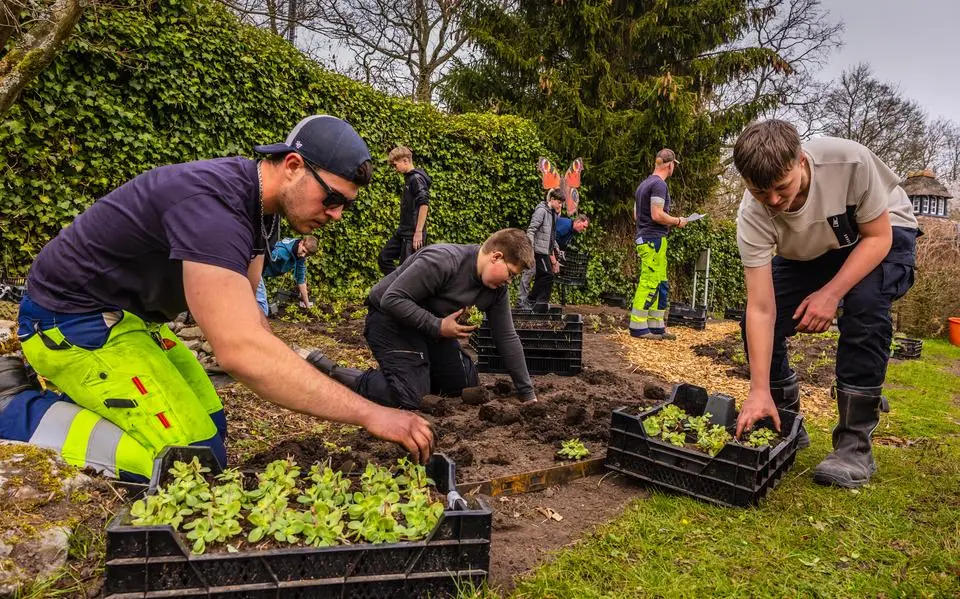 Vmbo-leerlingen Aeres creëren vlindertuin in Sneek. ‘Ik hoop dat ik hier later met mijn eigen kinderen van kan genieten’