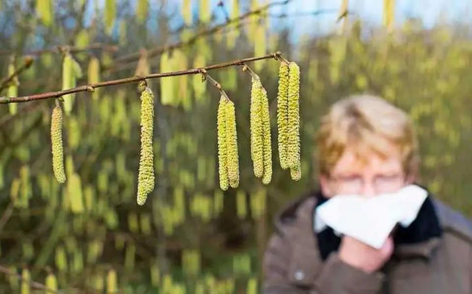 Pollenseizoen in volle gang, maar drie medicijnen tegen hooikoorts niet leverbaar