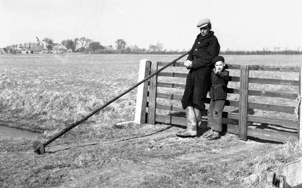 10 jaar na het eierraapverbod: op deze historische foto's zie je hoe charmant het aaisykjen vroeger was